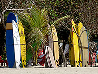 Boards for rent