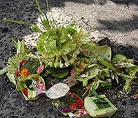 Balinese offering - Canang Sari