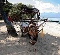 Cidomo at Gili Trawangan beach