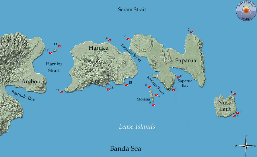 Lease islands dive sites