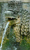 water dragon