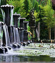 Royal water gardens