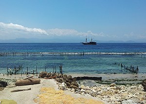 Seaweed plantations Seaweed plantations