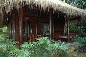 bungalow in het oerwoud