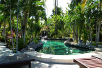 pool at the resort