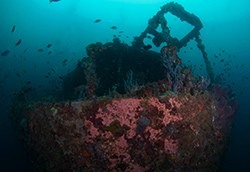 Inside the SS Aquila