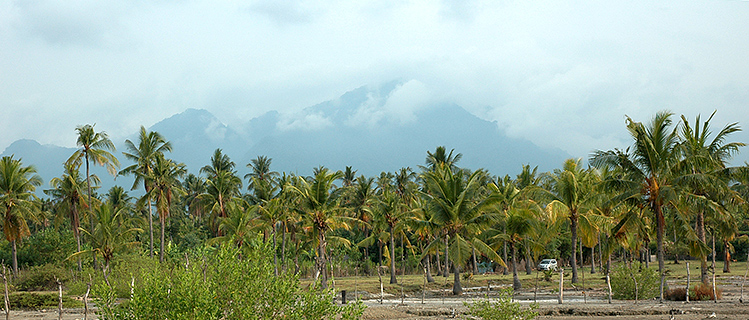 beautiful mountain view from the sea