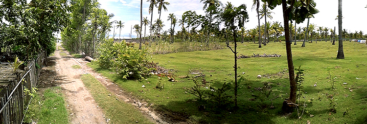 Public road behind property