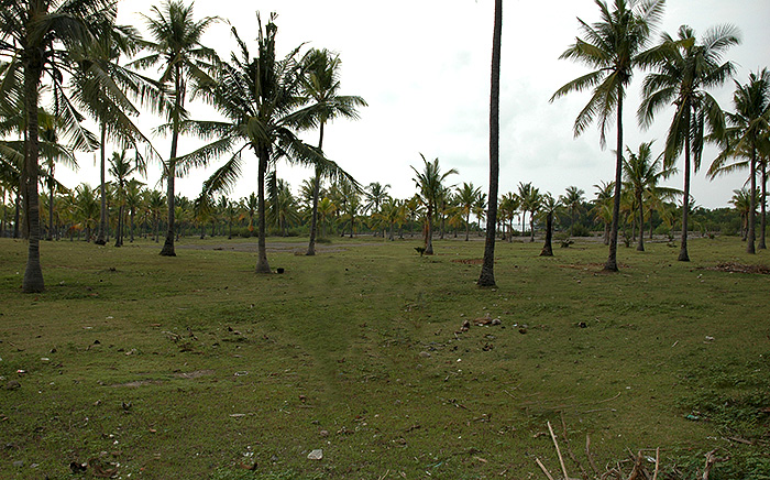 Enlarged view from land towards sea