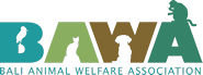 Bali Animal Welfare Association